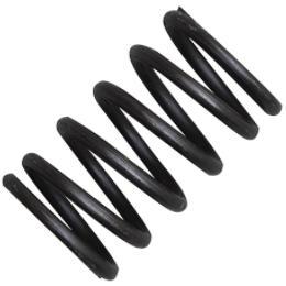 Outervalvespring