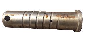Longshaftback